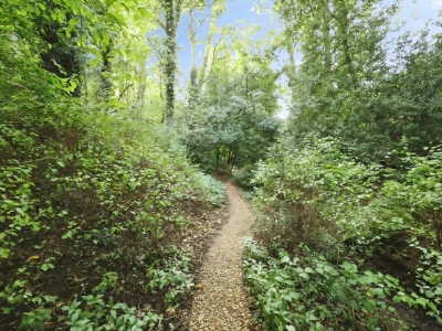 Picture 37